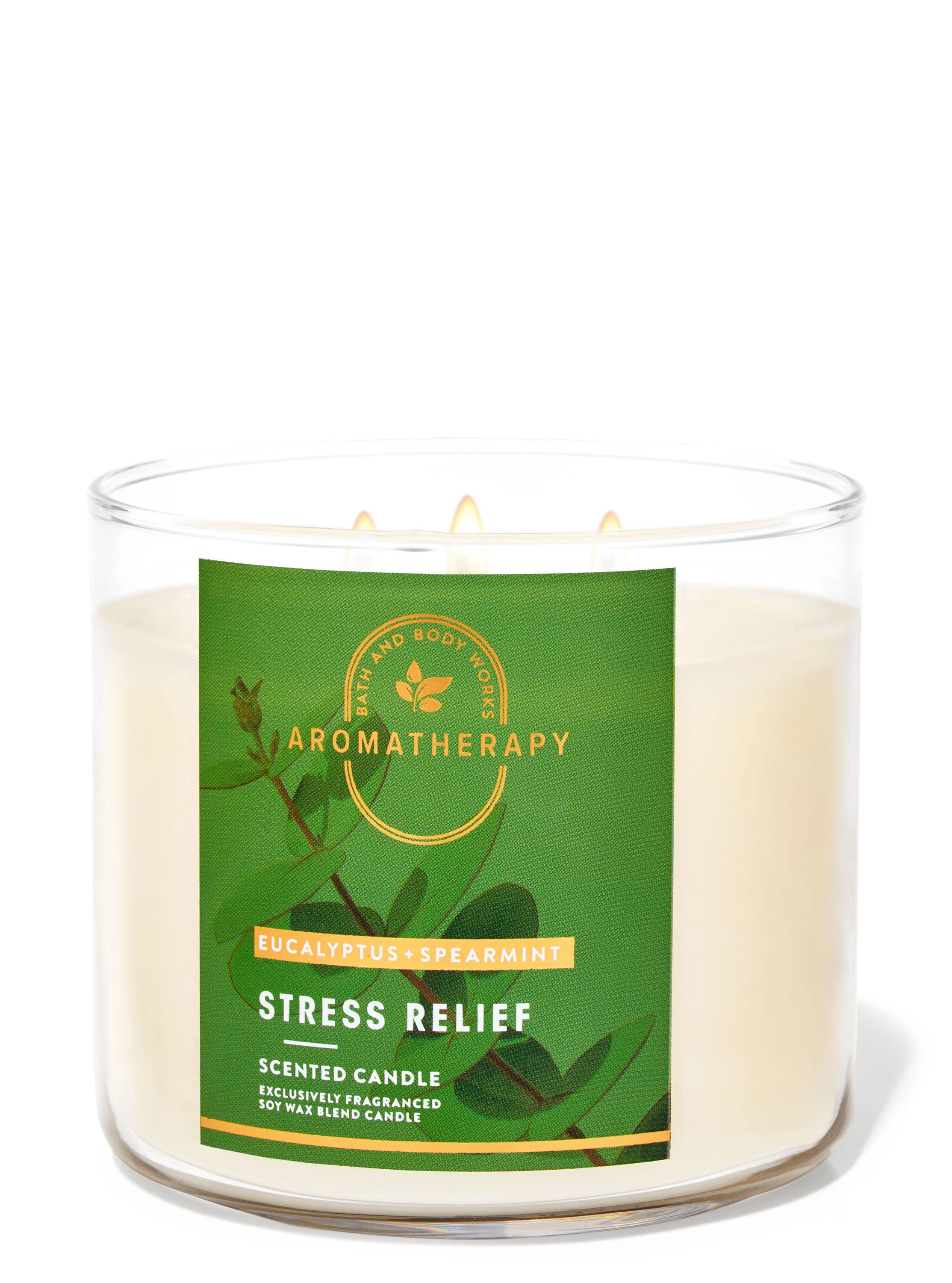 Aromatherapy


Eucalyptus Spearmint


3-Wick Candle | Bath & Body Works