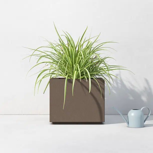 Laetitia Planter Box | Wayfair North America