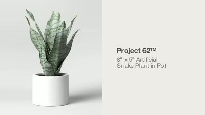 8" x 5" Artificial Snake Plant in Pot - Project 62™ | Target