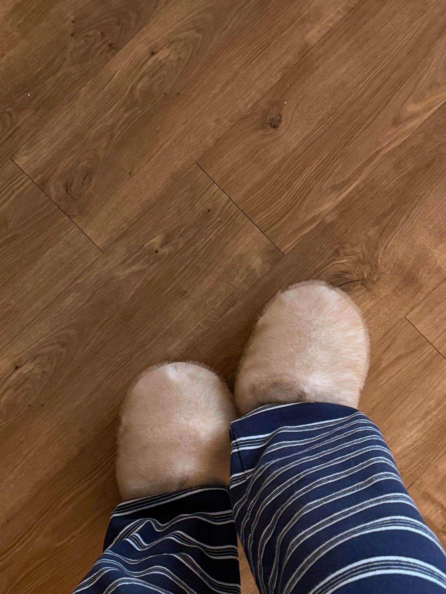 Fun slippers from Steve Madden! On sale! Wearing a size 9 