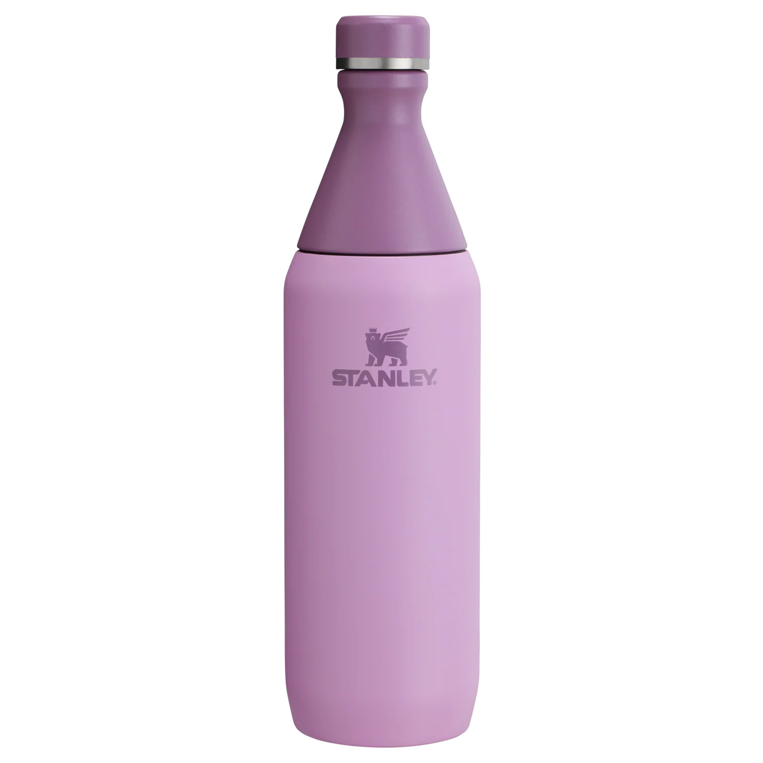All Day Slim Bottle | 20 OZ | Stanley 1913 (US)