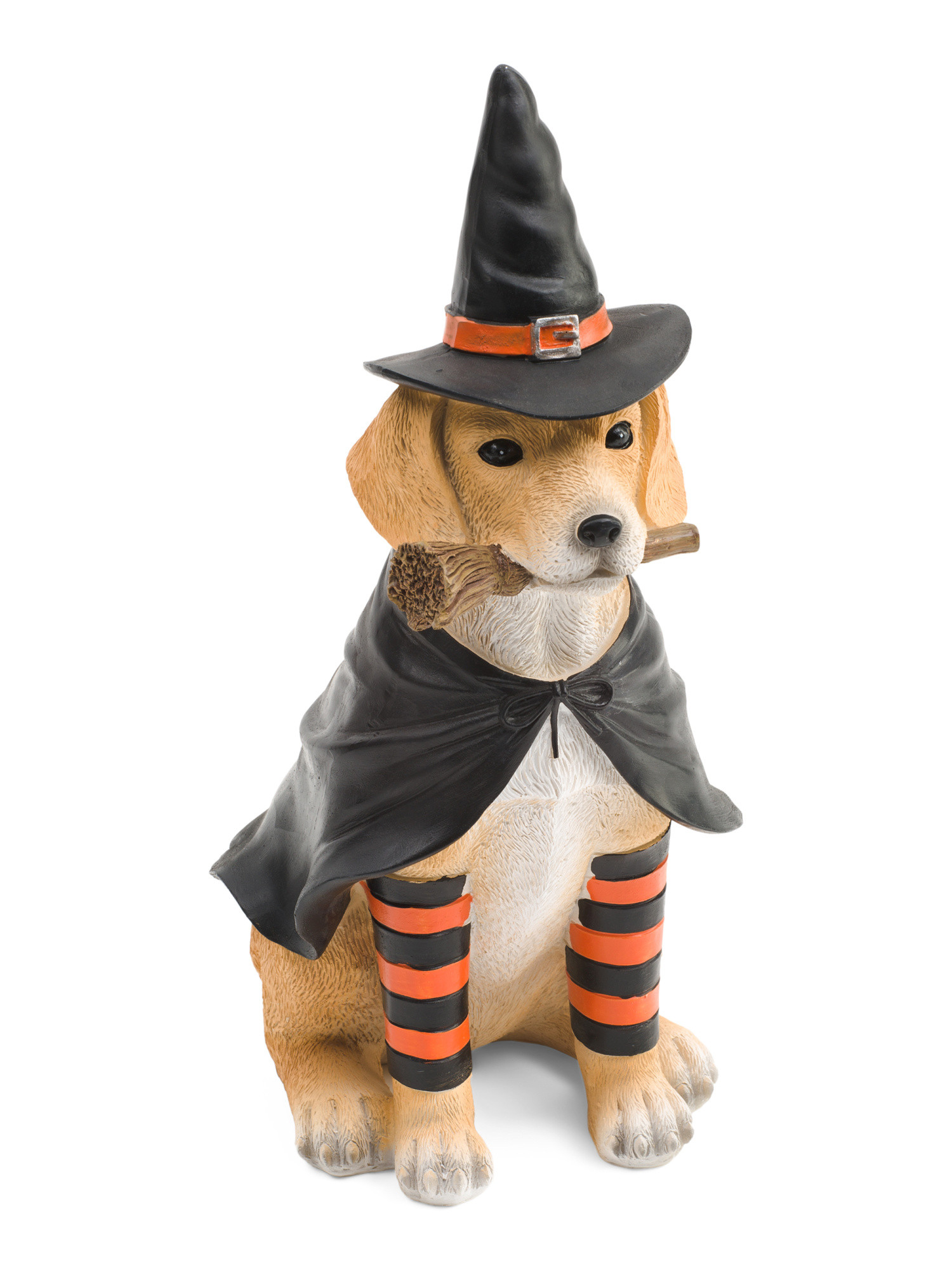 Witch Costume Dog Decor | Halloween | Marshalls | Marshalls