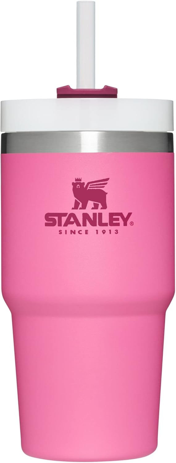 Stanley Adventure Reusable Vacuum Quencher Tumbler with Straw, Leak Resistant Lid, Insulated Cup,... | Amazon (US)