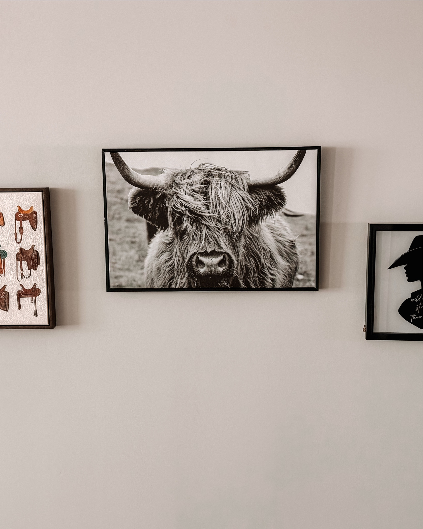 Some new additions to the house all from the At Home storee