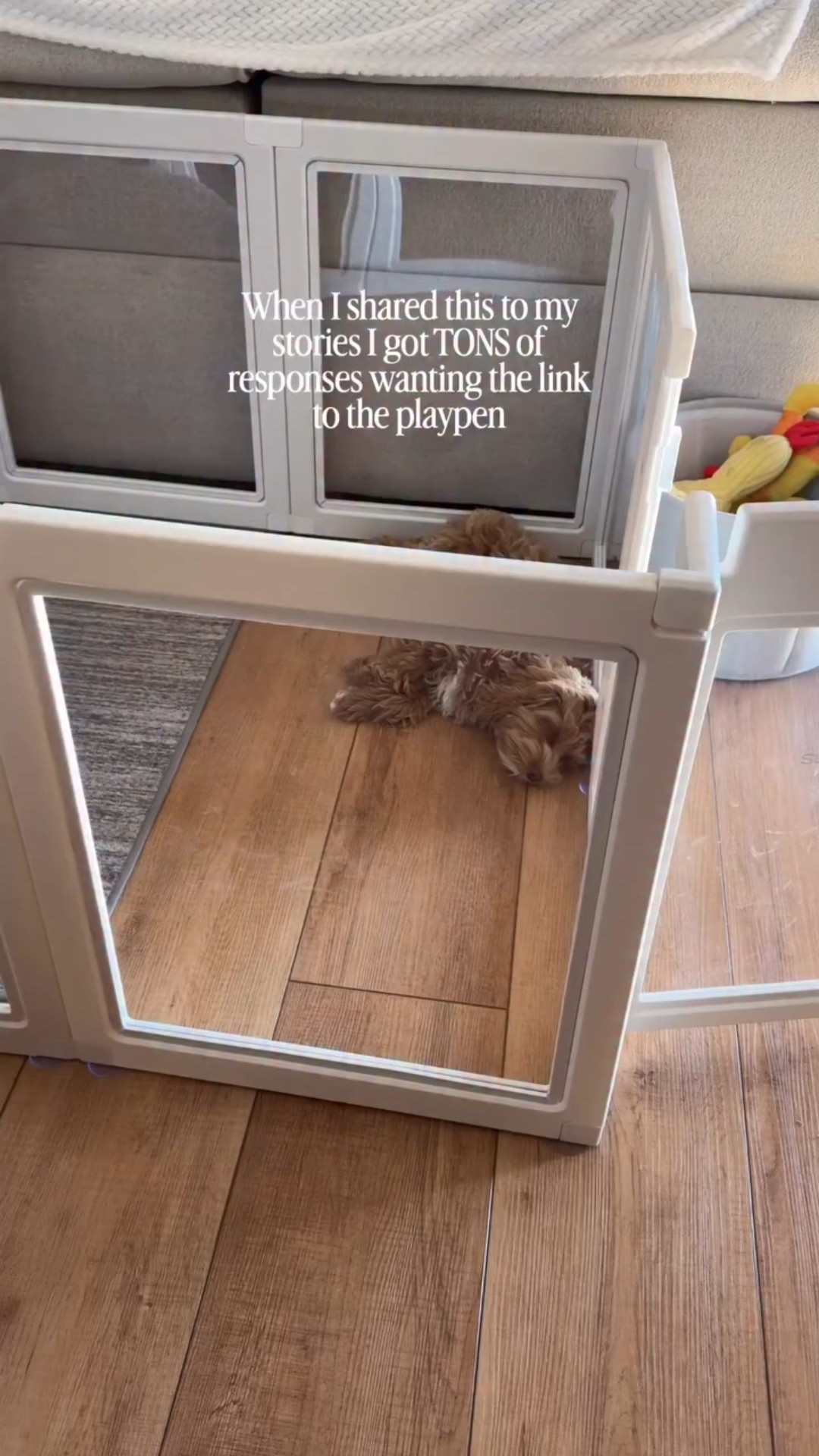 Clear acrylic dog playpen ✨

#LTKHome