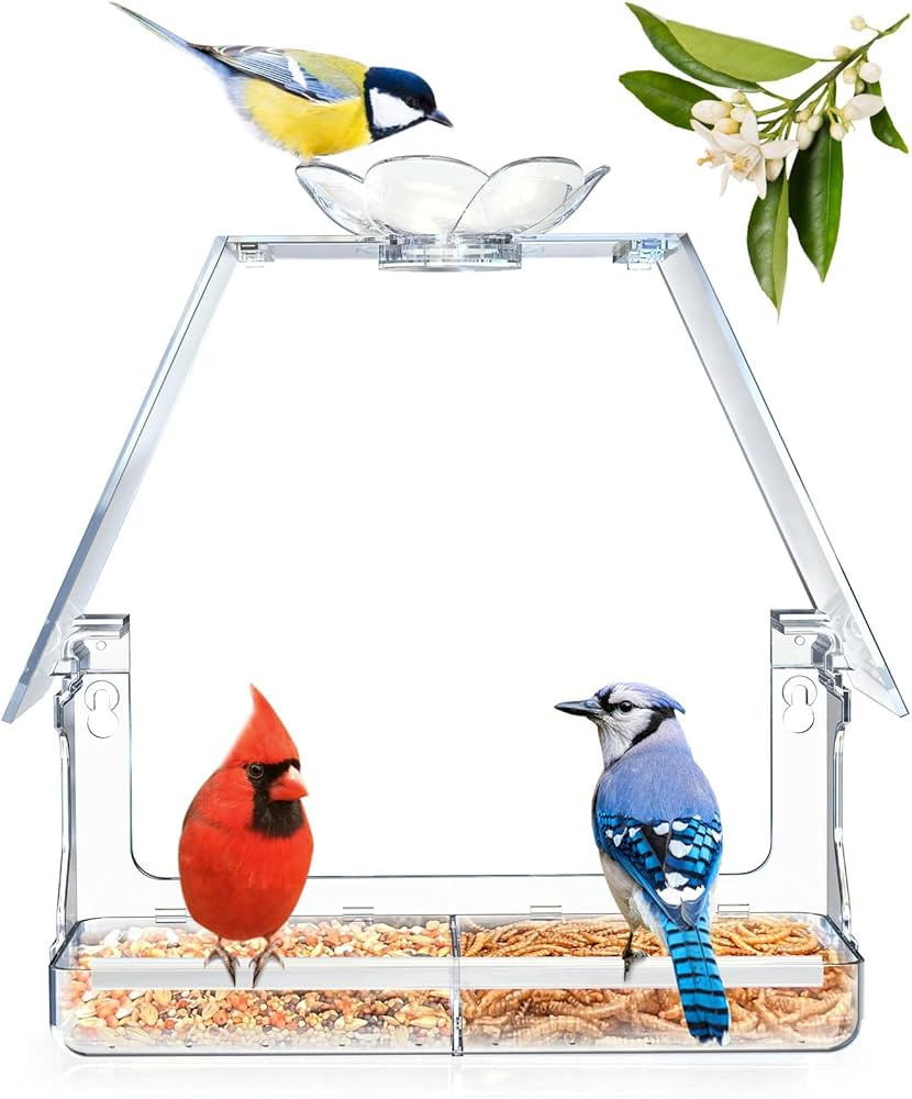 Window Bird Feeder with Large Viewing, Bird House-shaped Design, includes Non-Marking Self-Adhesi... | Amazon (US)