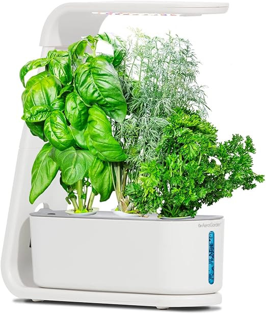 AeroGarden Sprout with Gourmet Herbs Seed Pod Kit - Hydroponic Indoor Garden, White | Amazon (US)