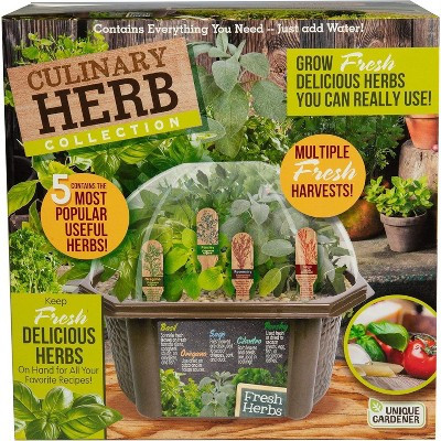 Unique Gardener Herb Garden Starter Kit- Indoor Grow Fresh Cooking Herbs Kit w Seeds, Soil, Planter- Fresh Herb Growing Kit for Beginners and Families | Target