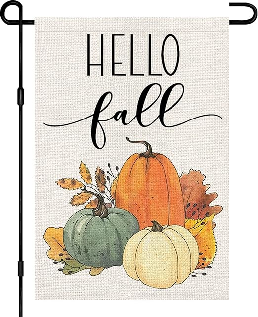 Hello Fall Pumpkin Garden Flag 12x18 Inch Double Sided, Autumn Sign Seasonal Yard Outdoor Thanksg... | Amazon (US)
