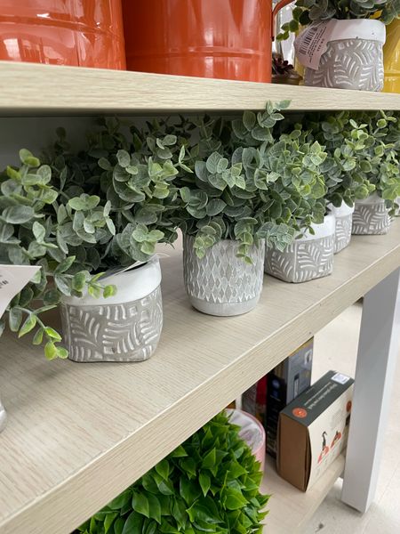 New Spring and Summer Home
Decorate your home with new spring decor pieces!
 minimalist home decor , entryway decor , home decor , spring decor , summer decor , farmhouse decor , cozy home decor finds , faux plants , small faux plants and planter , bathroom faux plant decor , office decor 

#LTKFindsUnder50 #LTKHome #LTKSeasonal