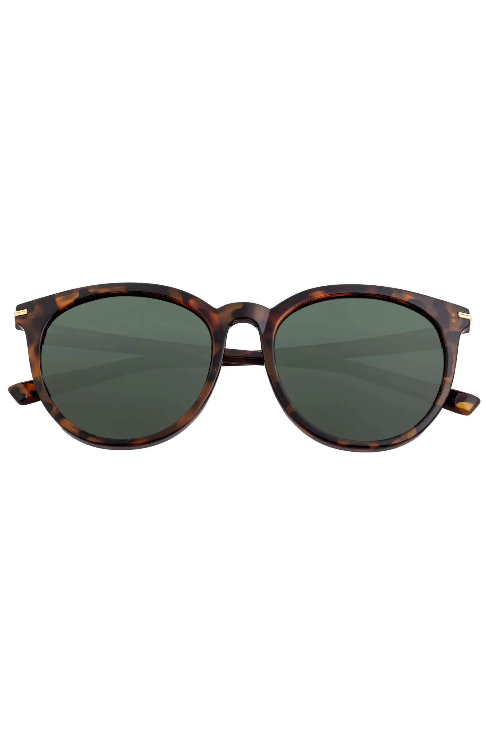 Sixty One Palawan Polarized Sunglasses | Nordstrom | Nordstrom