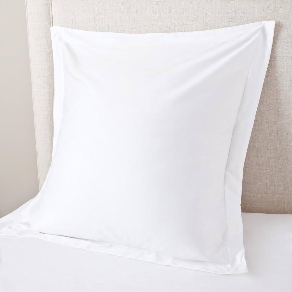 European Square Pillow Shams Set of 2 White 600 Thread Count 100% Natural Cotton Pack of Two Euro... | Amazon (US)