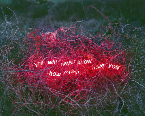 Jung LeeYou Will Never Know How Much I Love You, From the Series 'Aporia' – Jung Lee2014