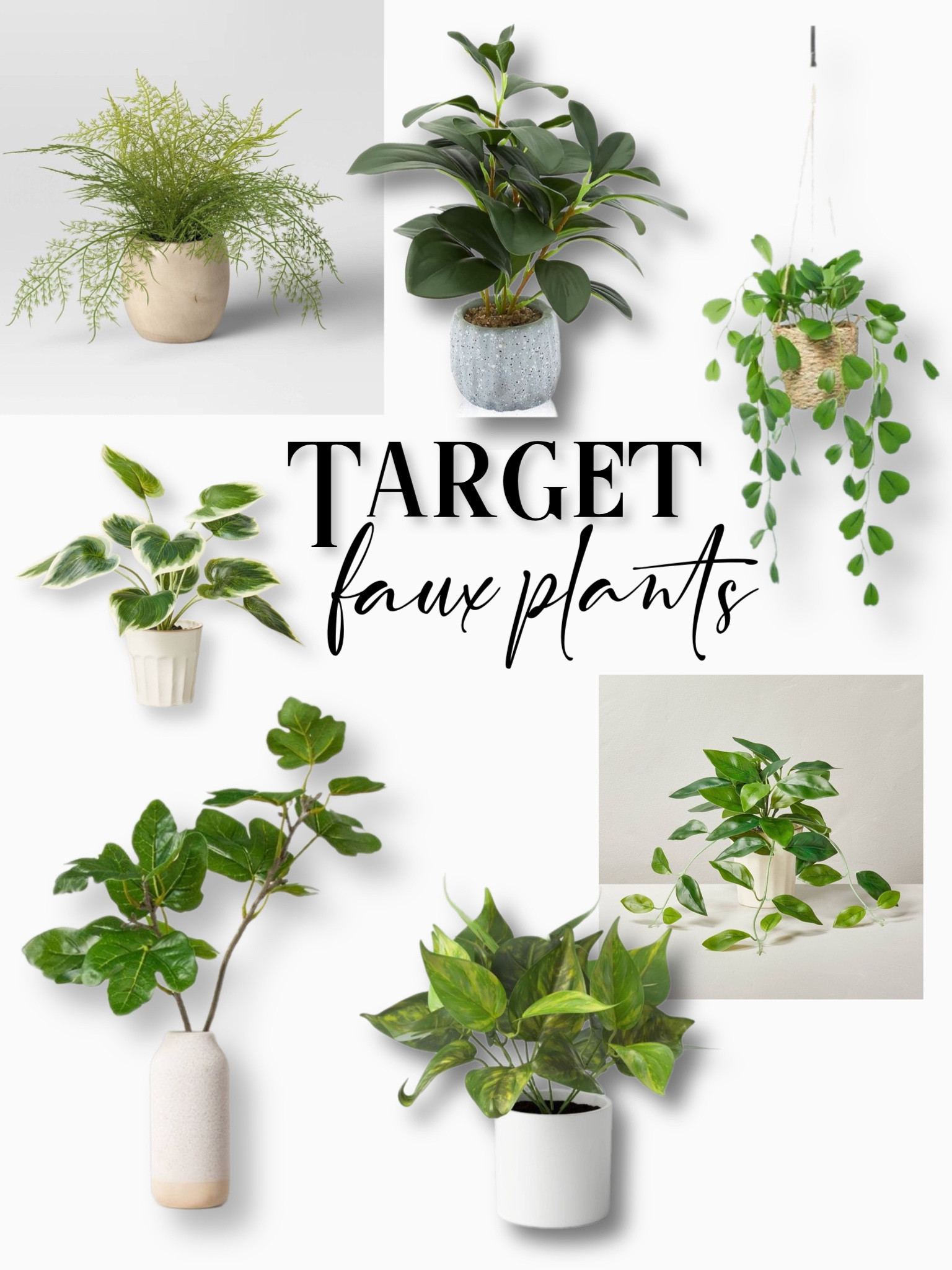 My favorite faux plant finds at target!

#LTKFind #LTKSeasonal #LTKhome
