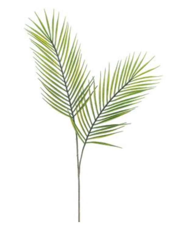 Palm Spray Pick | Megan Molten