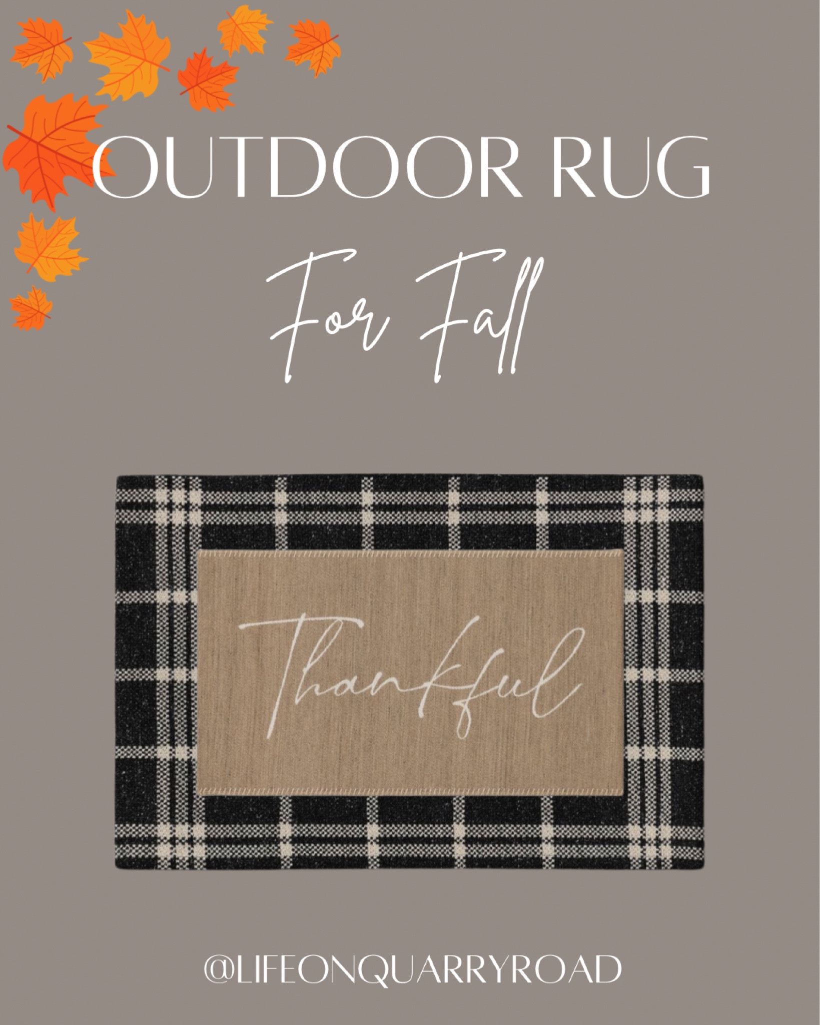 Outdoor rug
Target, Home 
Rug 


#LTKFindsUnder50 #LTKHome #LTKSeasonal