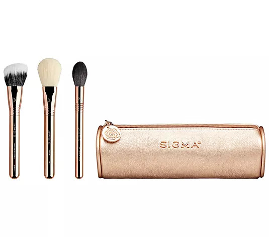Sigma Bloom + Glow Brush Set | QVC