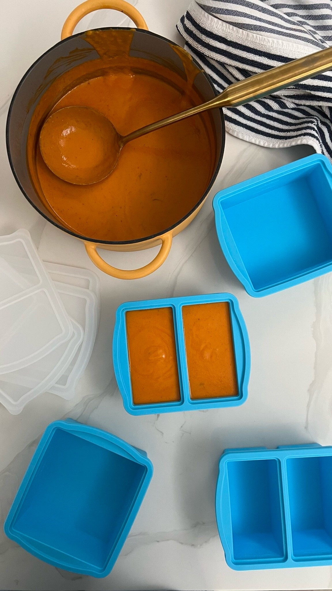 Freezer friendly Indian gravy. Everything I used to make it.