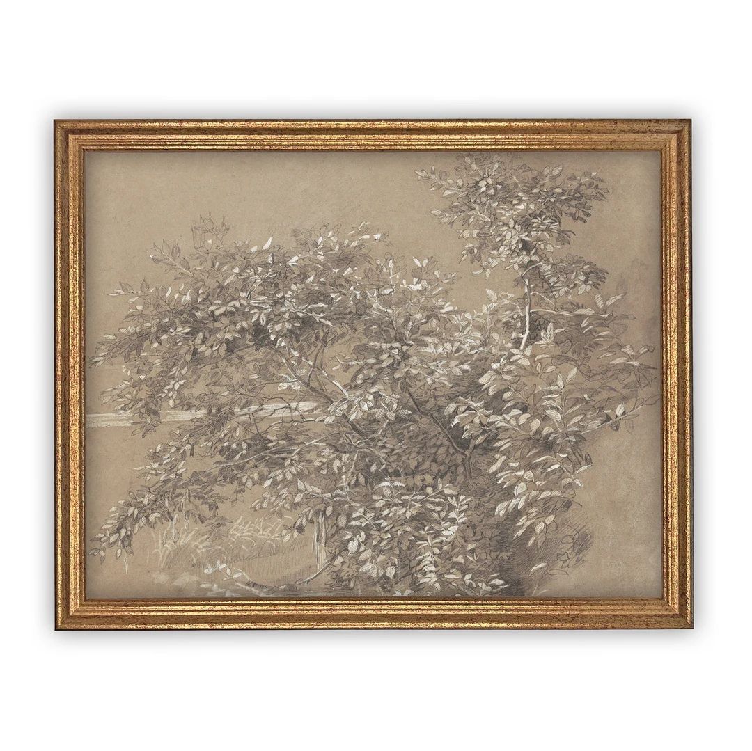 Vintage Framed Canvas Art  // Framed Vintage Print // Vintage Painting // Neutral Botanical Sketc... | Etsy (US)