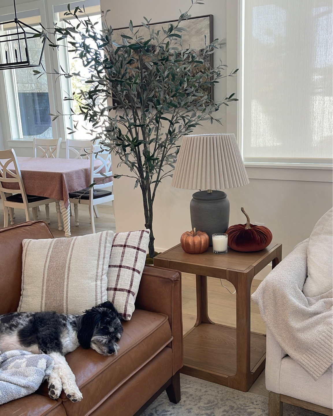 Family room styling 

#LTKhome #LTKsalealert #LTKfindsunder100