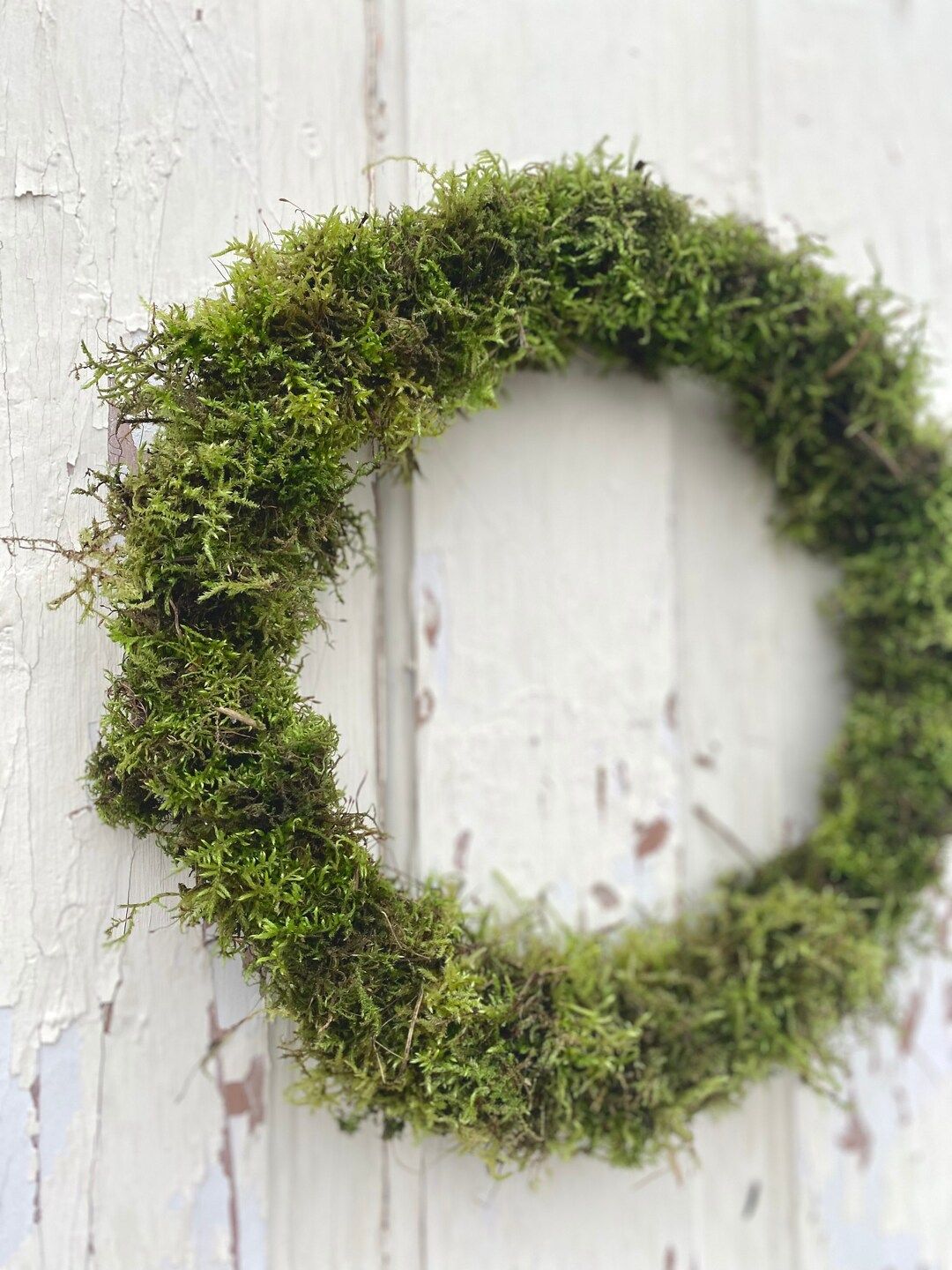REAL Moss and Grapevine Spring Door Wreath. Indoor/outdoor - Etsy | Etsy (US)