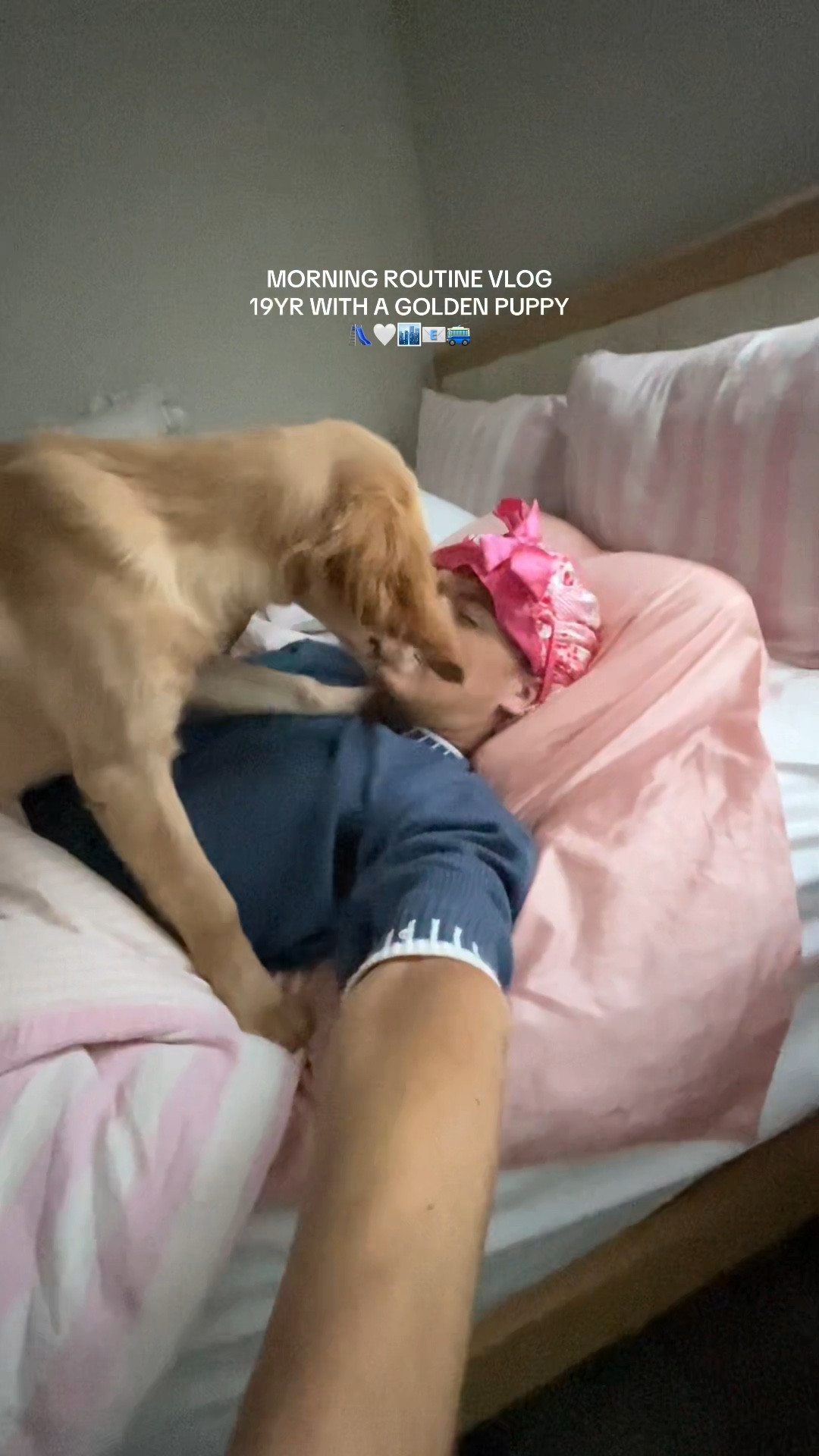 sometimes I need that extra 30 minutes 🛝🤍🏙️📧🚎 I was flabbergasted to find out her food was grain free! I’ll have to do some more research to see if I need to change it!📧

#LTKmorningroutine #LTKvlog #LTKdayinmylife