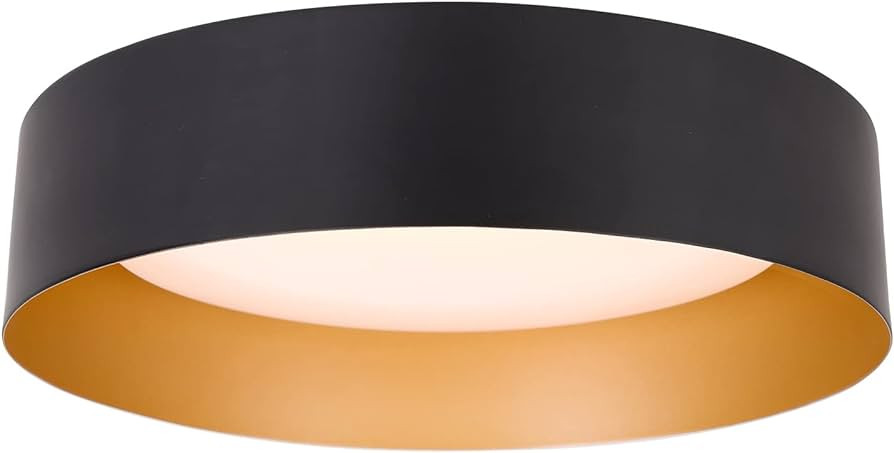 Bargeni Flush Mount Ceiling Light,12.5 inch LED Ceiling Light Fixture,Matte Black with Gold Insid... | Amazon (US)
