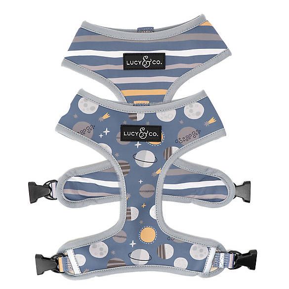 Lucy & Co. Lost In Space Reversible Dog Harness | PetSmart