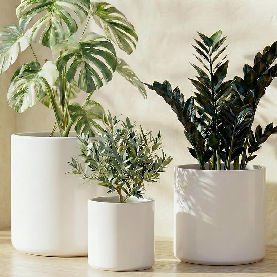 LE TAUCI Ceramic Pots for Plants, 10/8/6 Inch Indoor Planters with Draiange Hole, Silicone Plug &... | Amazon (US)