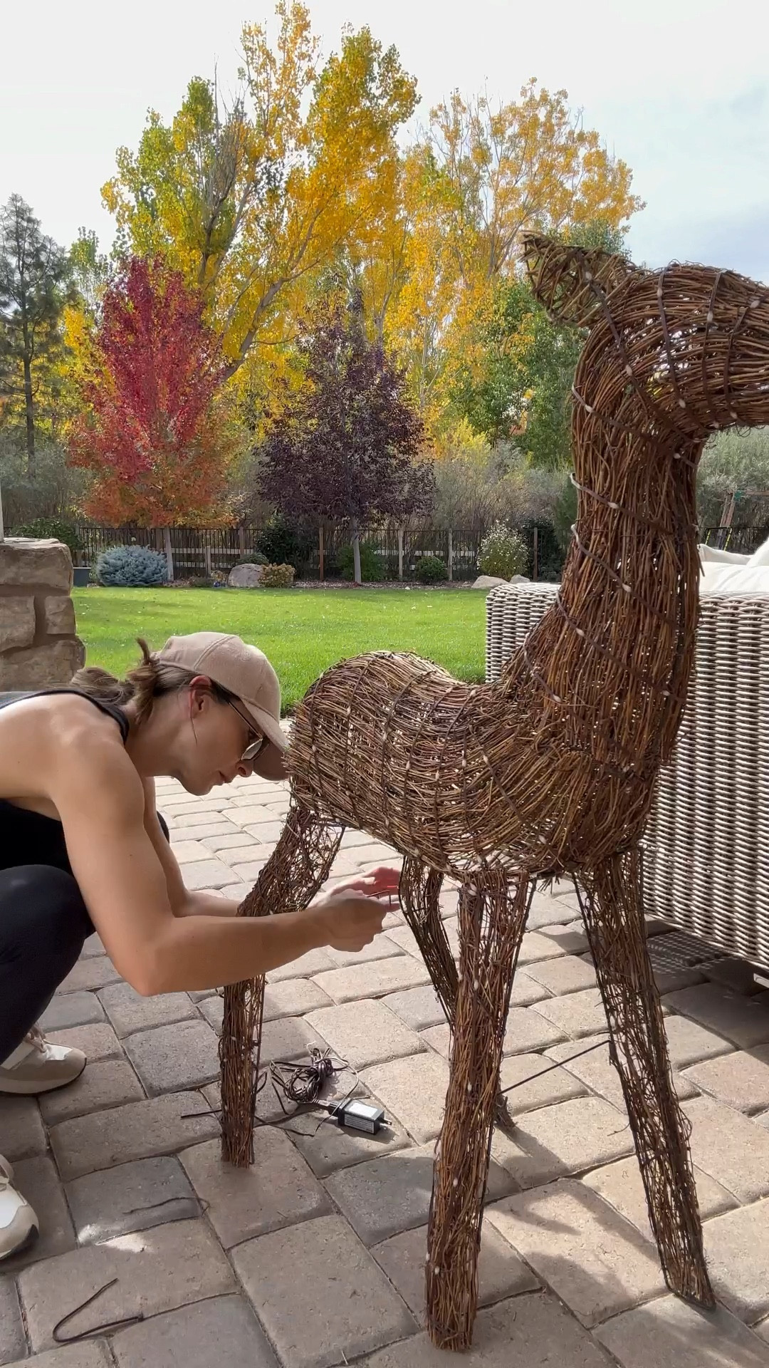 The cutest lit rattan deer

#LTKHoliday #LTKSaleAlert #LTKHome