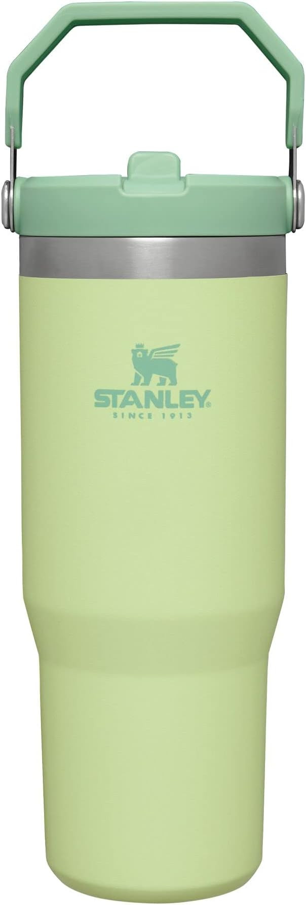 Stanley IceFlow Stainless Steel Tumbler with Straw, Vacuum Insulated Water Bottle for Home, Offic... | Amazon (US)