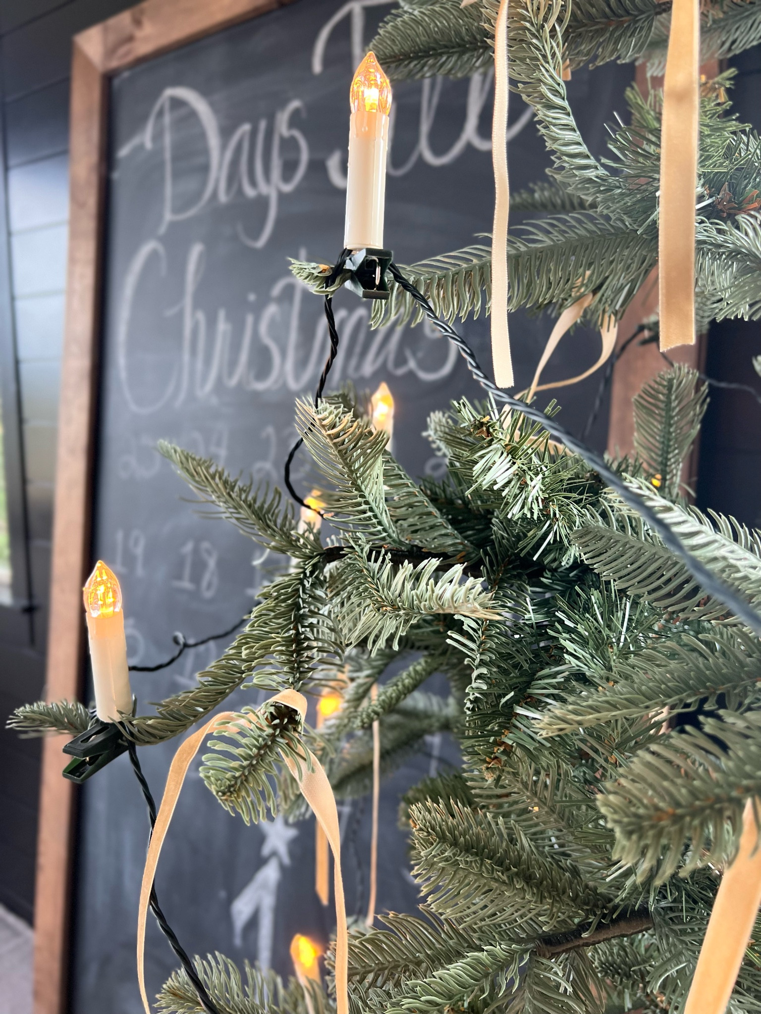 King of Christmas, Artificial Tree, Christmas tree, faux tree, Christmas lights, Christmas tree lights, Velvet, ribbon, velvet ribbon, candle tree lights, sale alert, seasonal decor, holiday, Christmas, simple Christmas tree

#LTKhome #LTKsalealert #LTKHoliday