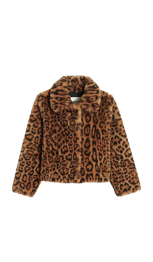 Apparis Elis Leopard Kids Coat in Brown. Taglia 4Y. Also in 8Y. | Revolve Clothing (Global)