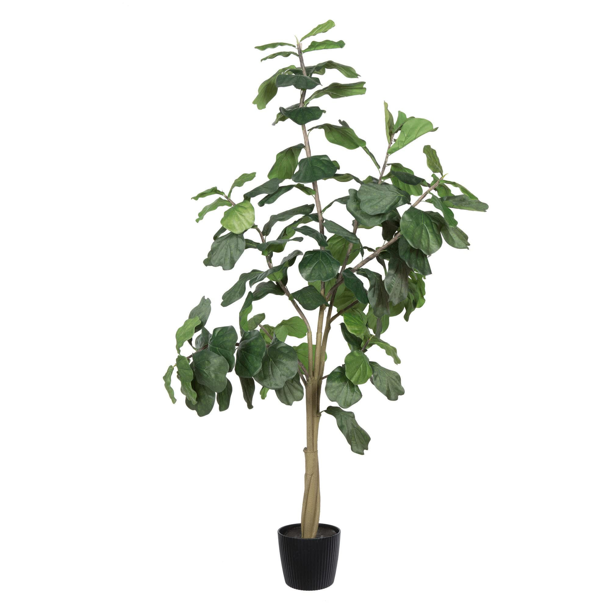 Vickerman Everyday Faux Fiddle Leaf Fig Tree 8ft Tall Green Silk Artificial Indoor Fiddle Plant w... | Amazon (US)