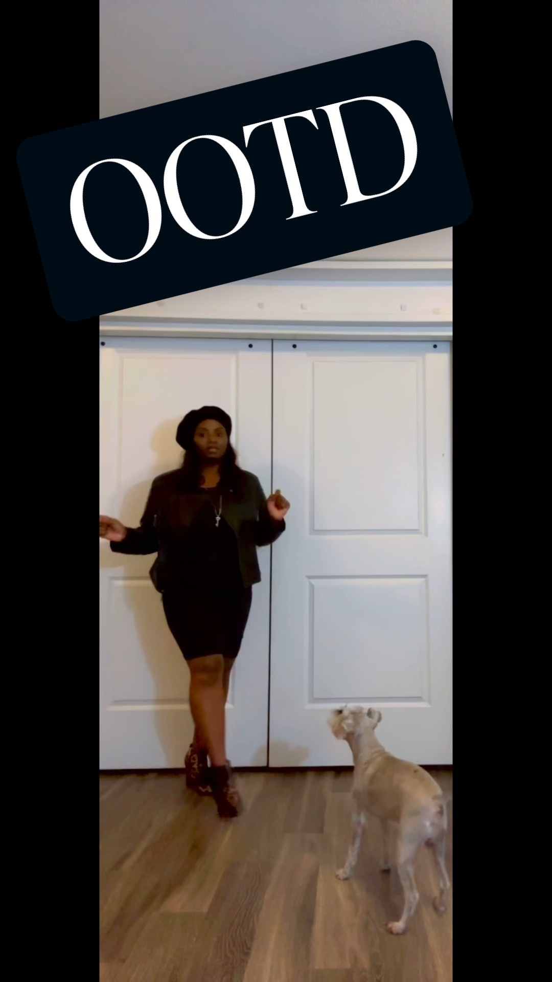 Be cute and stylish with this all black look add some animal print booties to give a lil pop to the look this is a easy to achieve fall look #fall style #shop create the look  Kota approves the look 🐶💖

#LTKSeasonal #LTKFallSale #LTKFindsUnder100