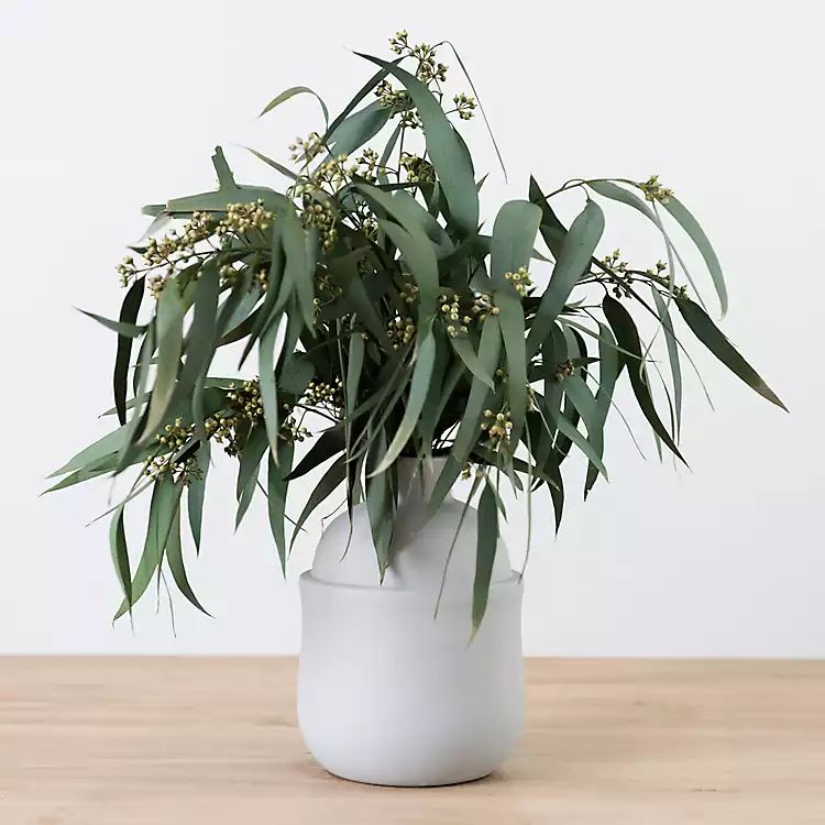 Dried Eucalyptus Arrangement in Gray Vase | Kirkland's Home