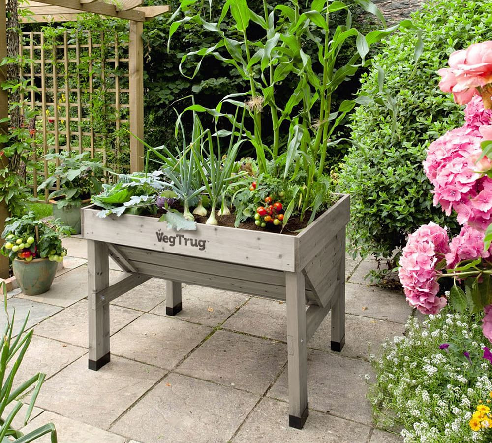 Vegtrug Raised Garden Bed | Pottery Barn (US)