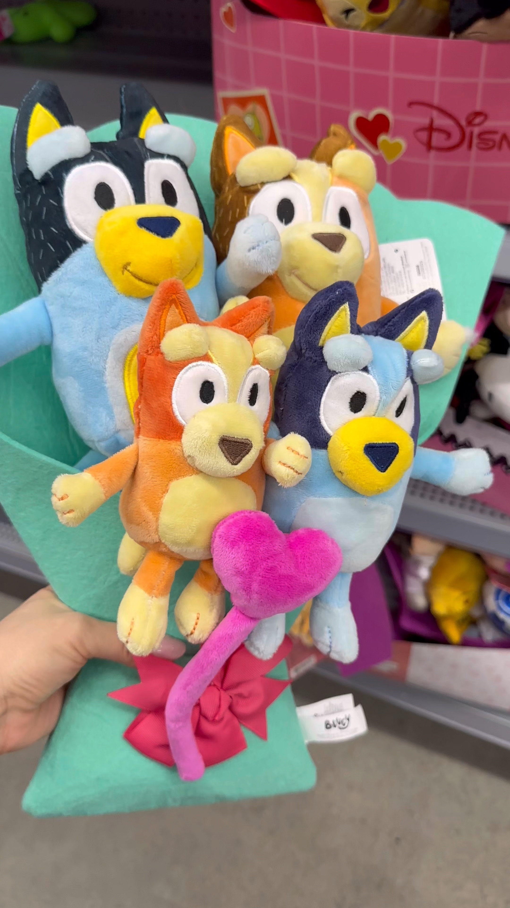 Disney & Character Plush Bouquets! So stinking cute! 💐💌 #walmart #walmartfinds #valentines #valentinesday #disney #bluey 

#LTKSeasonal #LTKKids #LTKFamily
