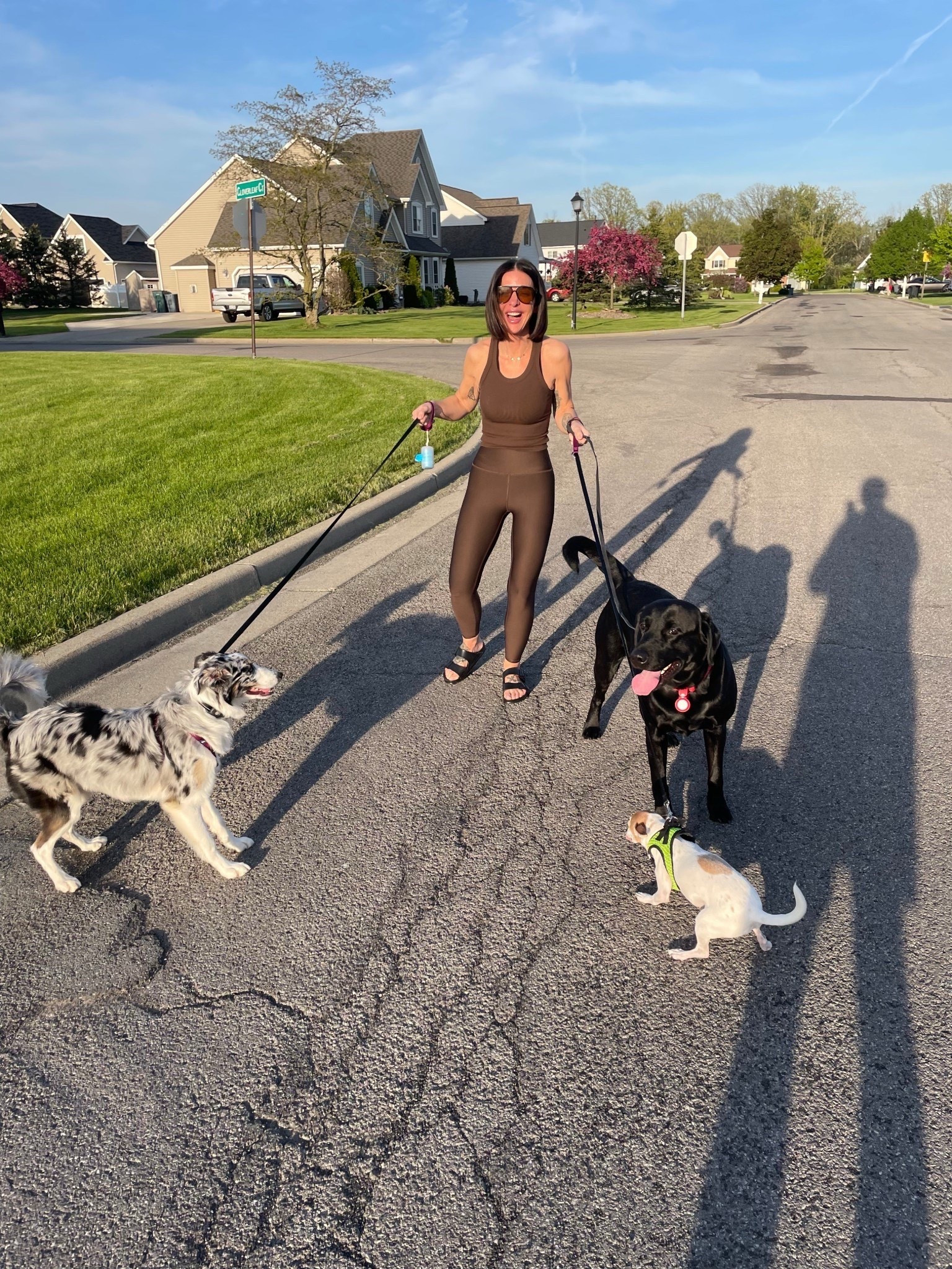 Alo yoga 30% off site wide for black Friday. Just your neighborhood crazy dog lady. 

#LTKSaleAlert #LTKHoliday #LTKCyberWeek