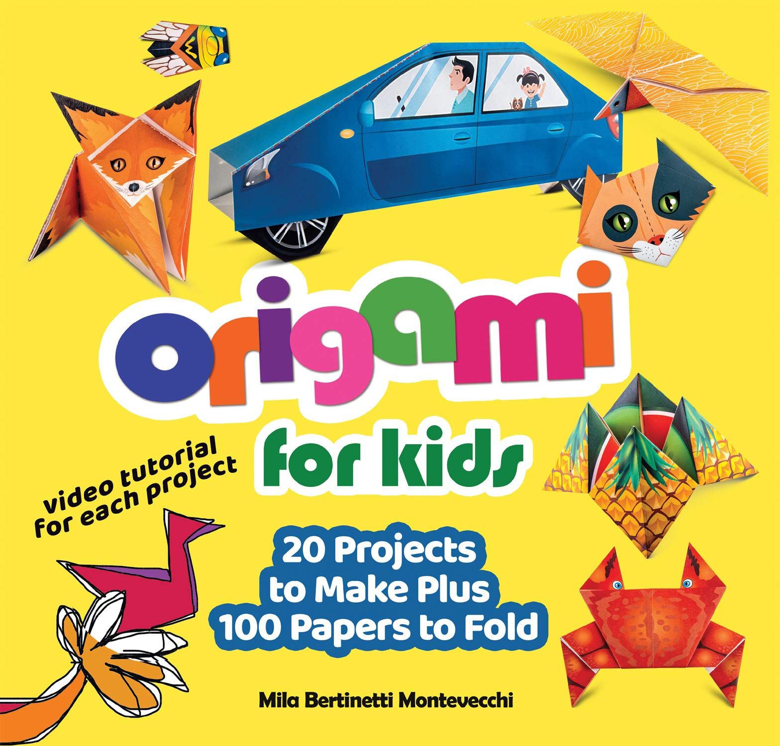 Origami for Kids: 20 Projects to Make Plus 100 Papers to Fold (Happy Fox Books) Fun and Creative ... | Amazon (US)