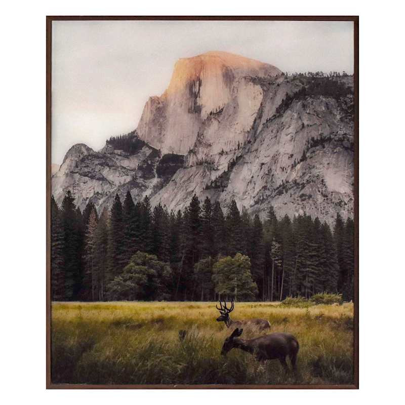 Lake & Lodge Glass Framed Grazing Pair Print Wall Art, 20x24 | At Home