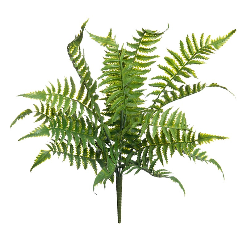 Fern Bush, 18" | At Home
