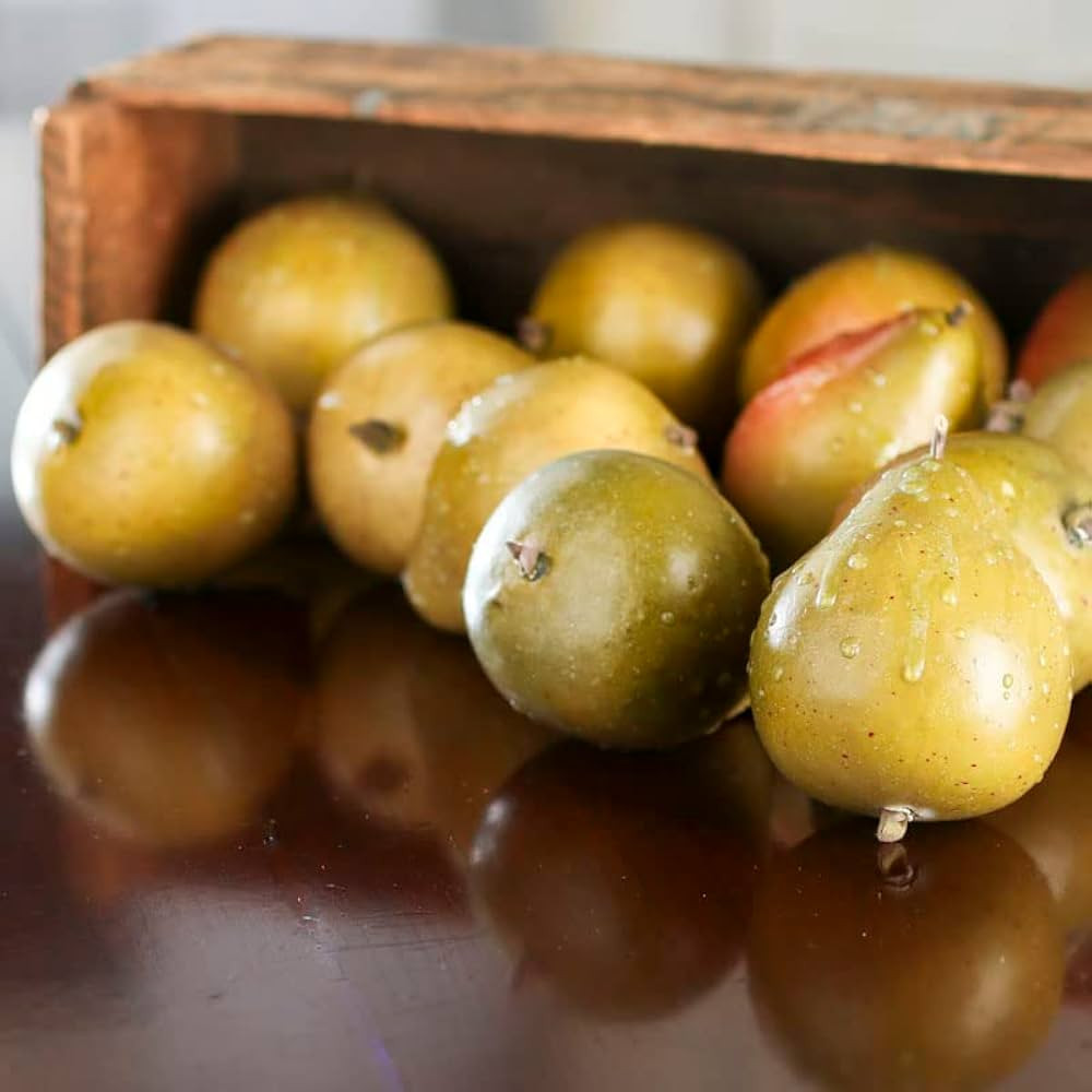 Factory Direct Craft Group of 12 Dewy Artificial Pears Artificial Fall Fruit for Holiday Displays... | Amazon (US)