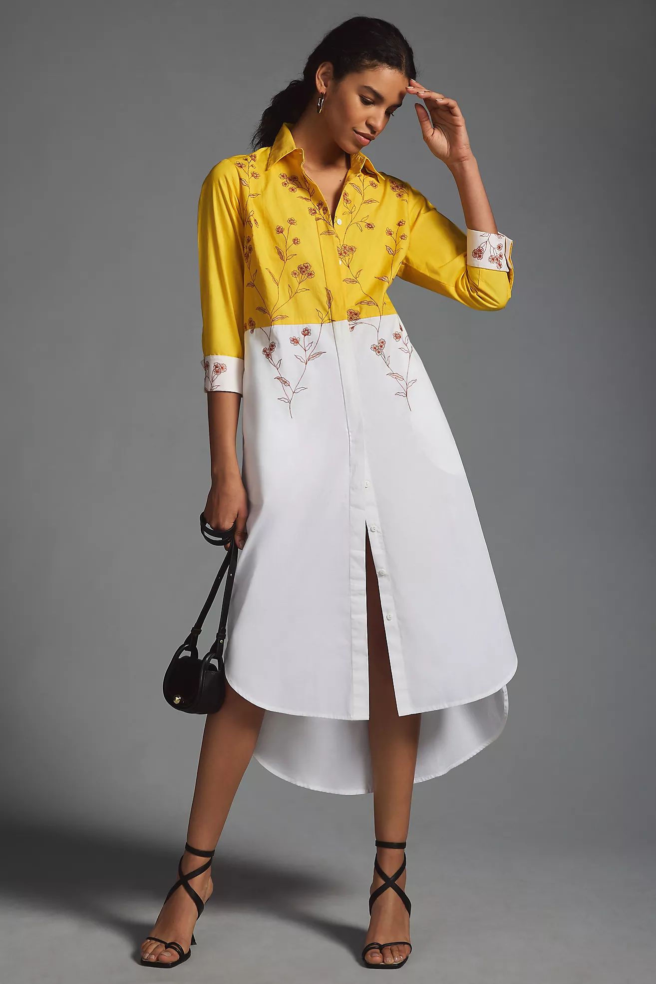 Samant Chauhan Embroidered Colorblock Shirt Dress | Anthropologie (US)