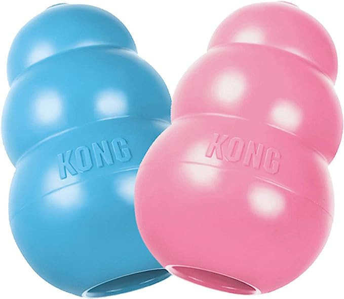 KONG - Puppy Toy Natural Teething Rubber - Fun to Chew, Chase and Fetch - Blue, for Small Puppies | Amazon (US)