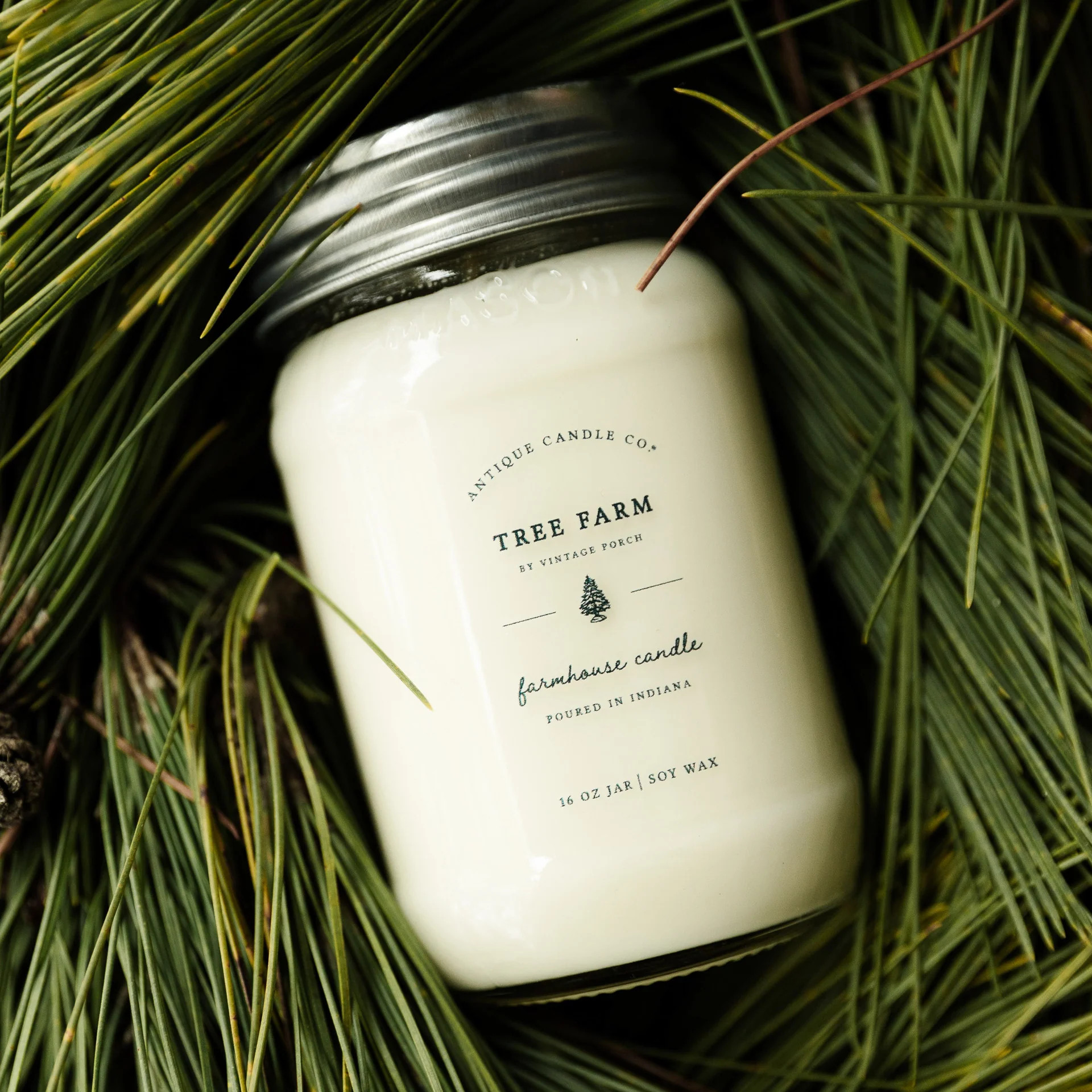 Tree Farm 16 oz candle | Antique Candle Co.