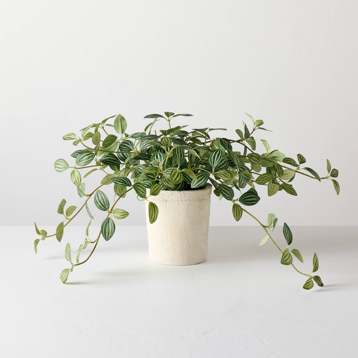 10" Small Trailing Peperomia Artificial Plant - Hearth & Hand™ with Magnolia | Target
