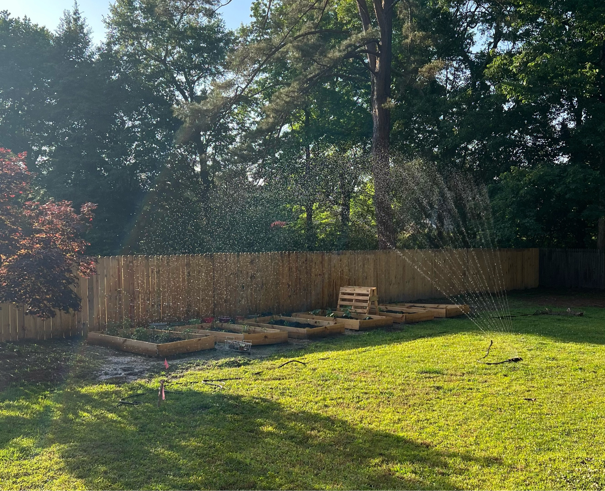 Just got this 4500 sq ft Duratek oscillating sprinkler and let me tell you, it does not disappoint. Pair it with the Orhit Bhyve Smart hub and you can water your garden from your phone! We are loving this, and it’s perfect for if you are out of town and need to water! 

#LTKSeasonal #LTKfamily #LTKhome