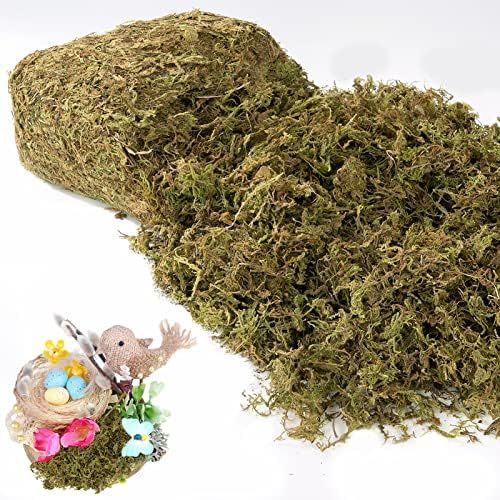 17OZ Fake Moss for Crafts - Artificial Moss for Potted Plants, Faux Preserved Moss for Fake Plant... | Amazon (US)