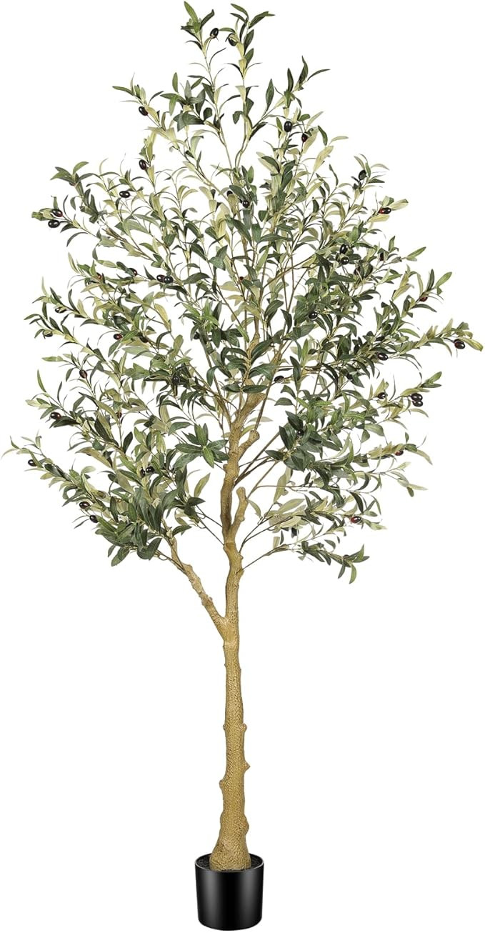 6ft Faux Olive Tree – Tall Artificial Olive Tree with Natural Trunk, Fake Olive Tree Indoor Dec... | Amazon (US)